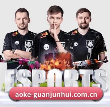 aoke-guanjunhui.com.cn APP 界面