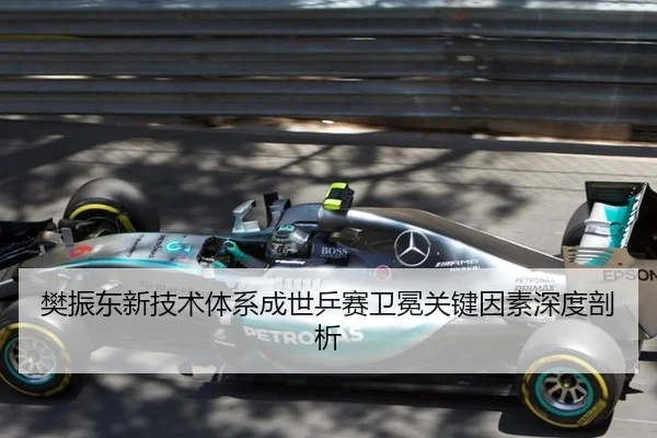 樊振东新技术体系成世乒赛卫冕关键因素深度剖析