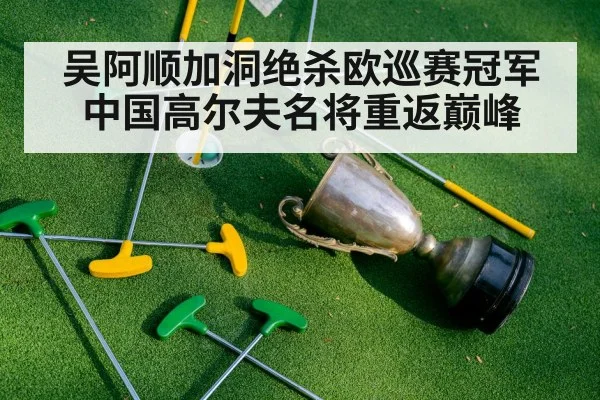 吴阿顺加洞绝杀欧巡赛冠军 中国高尔夫名将重返巅峰